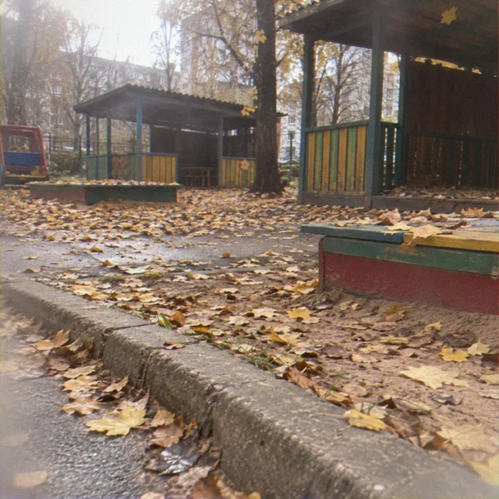 Опавшая листва на верандах, дорожках и крышах песочниц